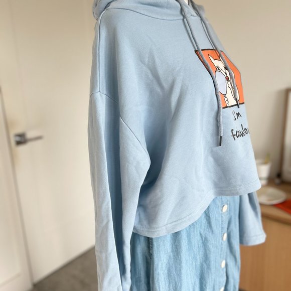 Cute Baby Blue Hoodie PROB - Picture 4 of 7